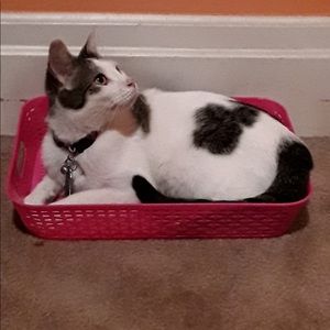 Meet your Posher, Stacey